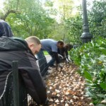 Credit Suisse Volunteer Planting