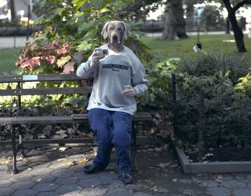 Human dog madison square park