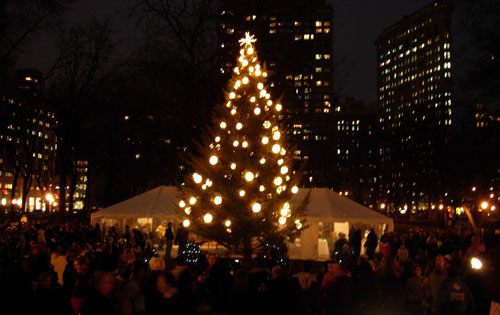 madison sq holiday tree