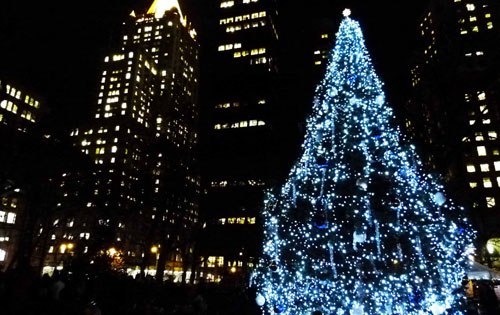 madison sq. park holiday tree nighttime