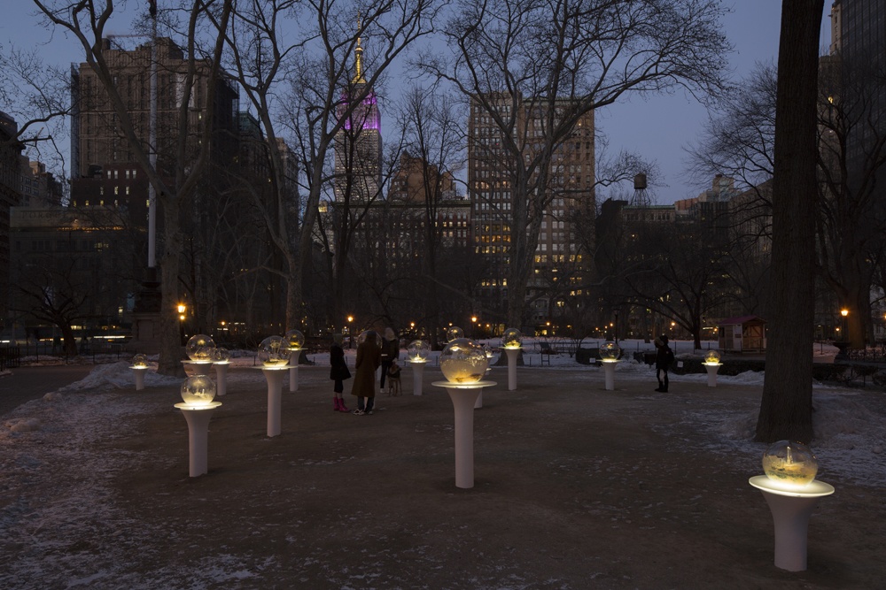 paula-hayes--msq-park