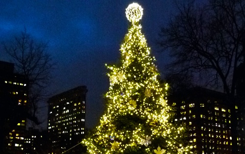 holiday Christmas tree