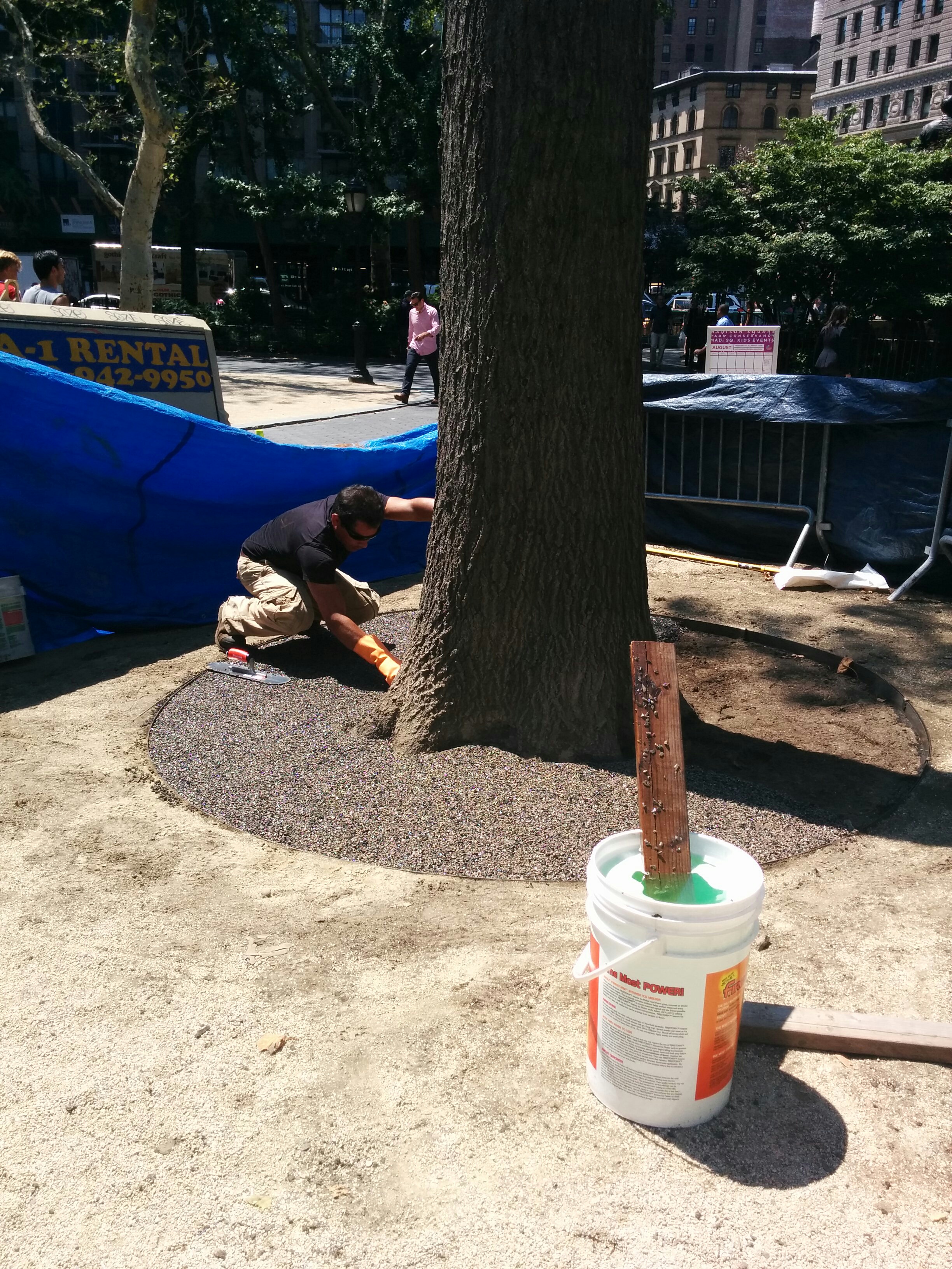 tree protection