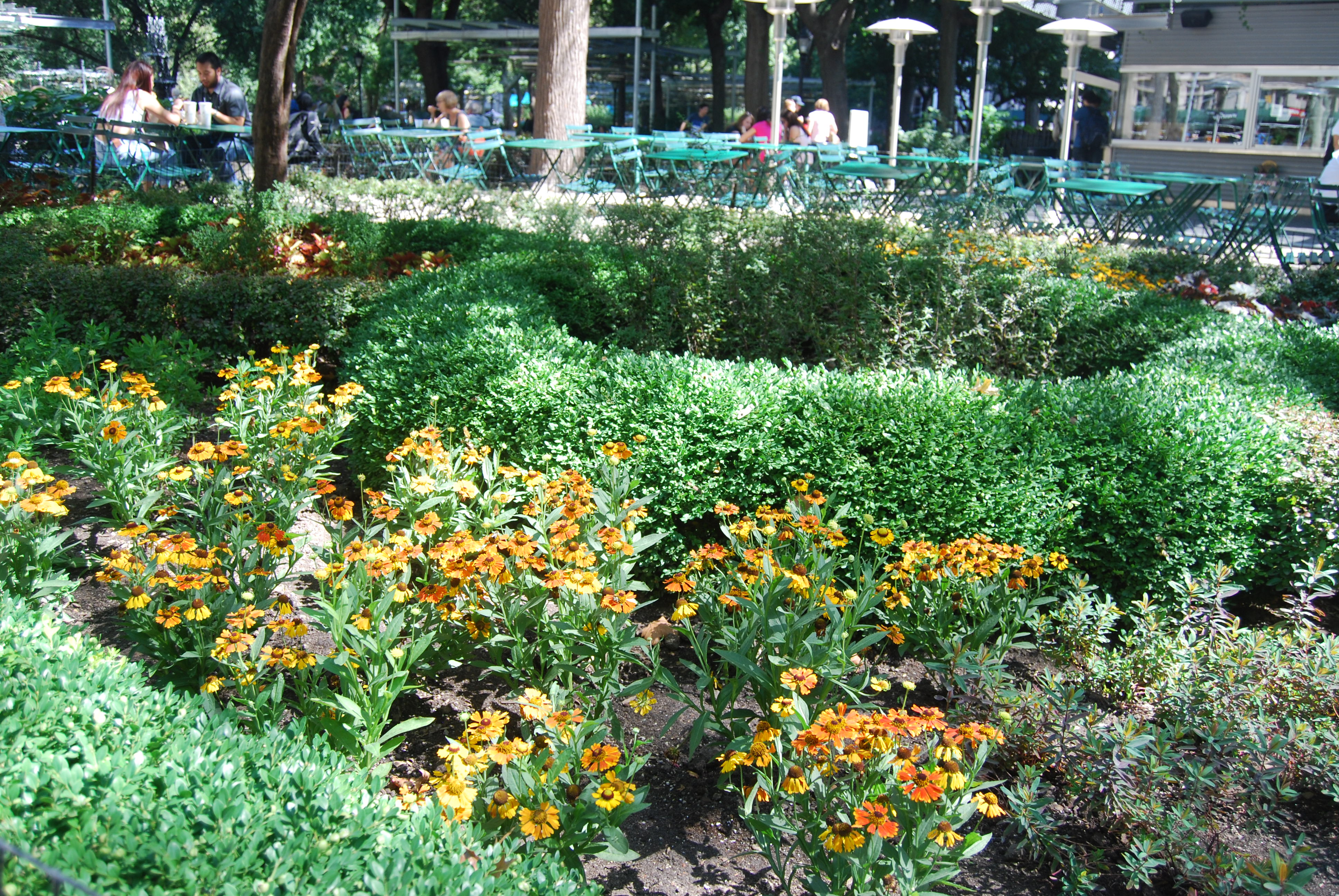 fall planting in madison square park